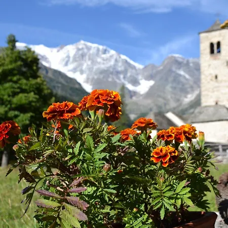 Casa Dei Nonni * Ceppo Morelli