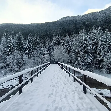 Casa Dei Nonni * Ceppo Morelli