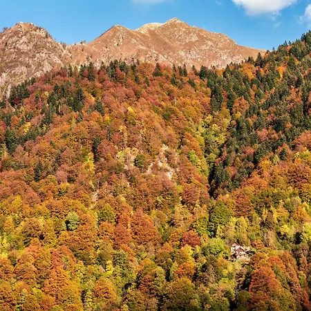 Дом отдыха Casa Dei Nonni Ceppo Morelli