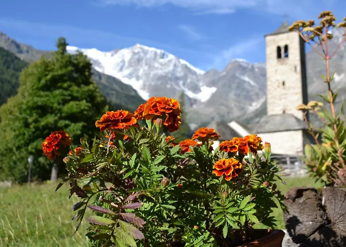 Casa Dei Nonni * Ceppo Morelli