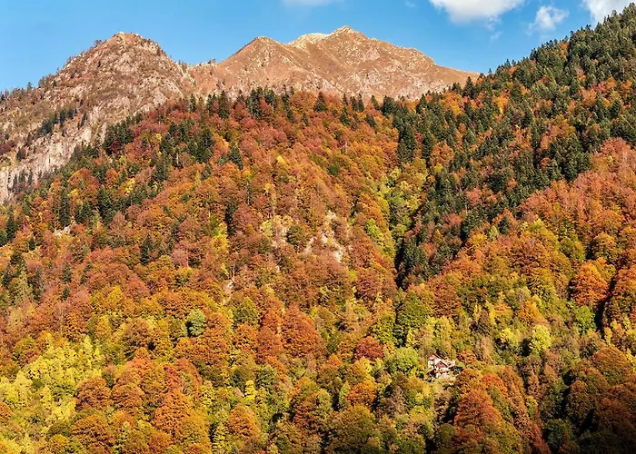 Dom wakacyjny Casa Dei Nonni Ceppo Morelli